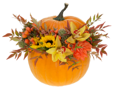 bouquet-de-fleurs 14 liste